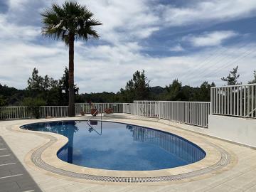 sarigarme-pool-picture