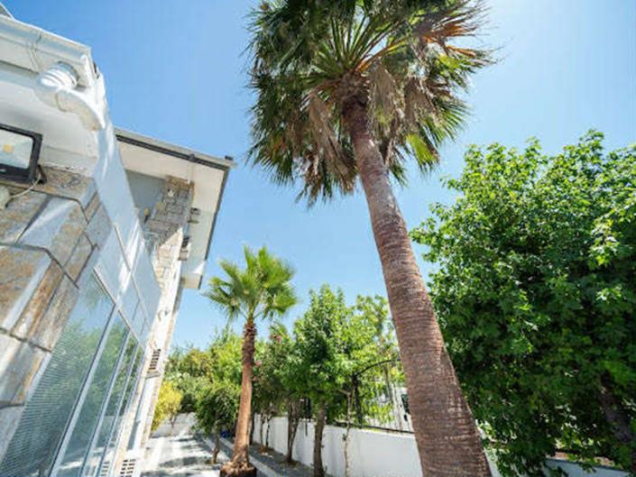 Image No.3-6 Bed Villa for sale