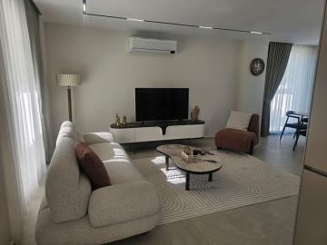 TC1991-beautiful-living-area