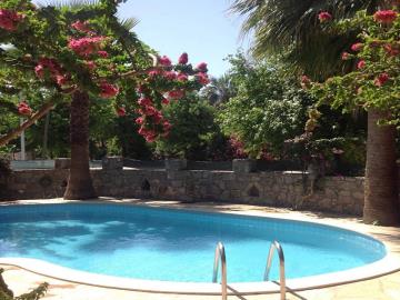 TC2001-pool-area-with-sunbathing-terrace