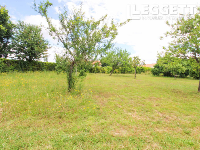 Image No.4-Land for sale