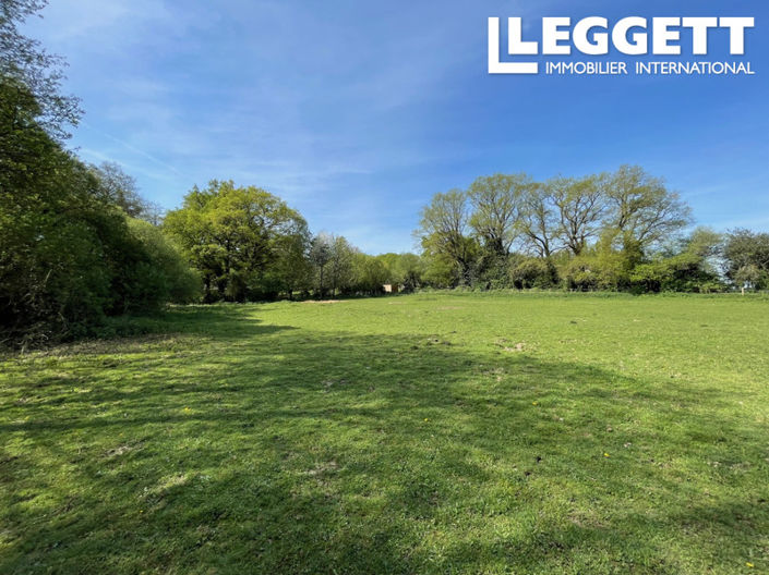 Image No.4-5 Bed House for sale