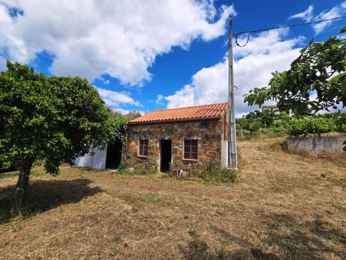 Image No.3-Vineyard for sale