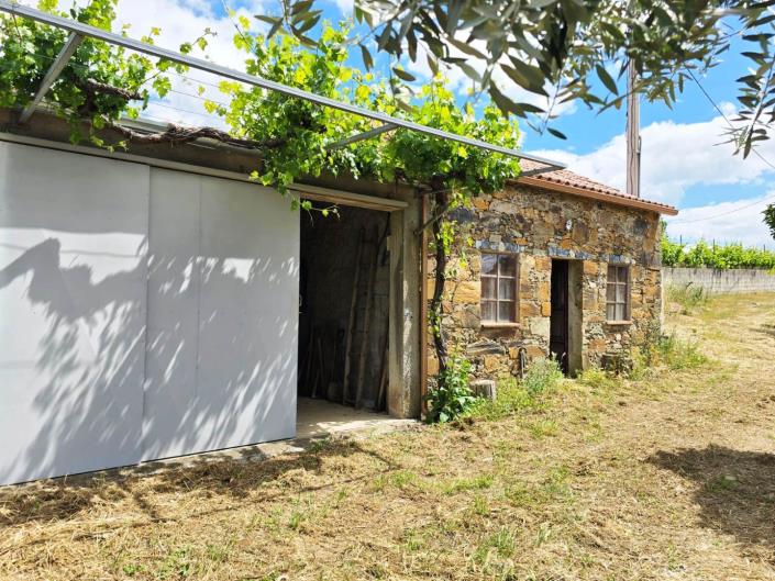 Image No.4-Vineyard for sale