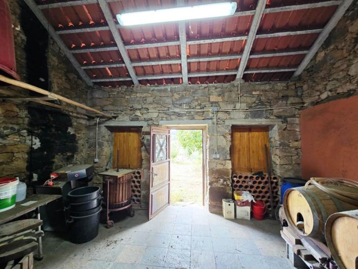Image No.8-Vineyard for sale