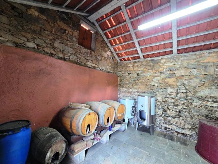 Image No.10-Vineyard for sale