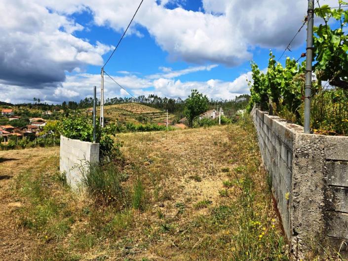 Image No.14-Vineyard for sale