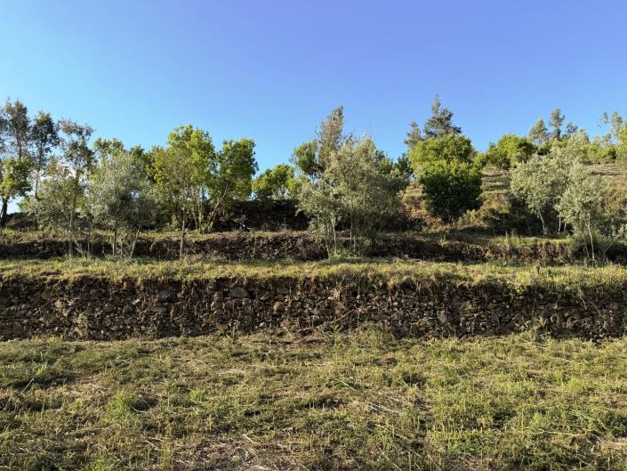 Image No.43-Land for sale