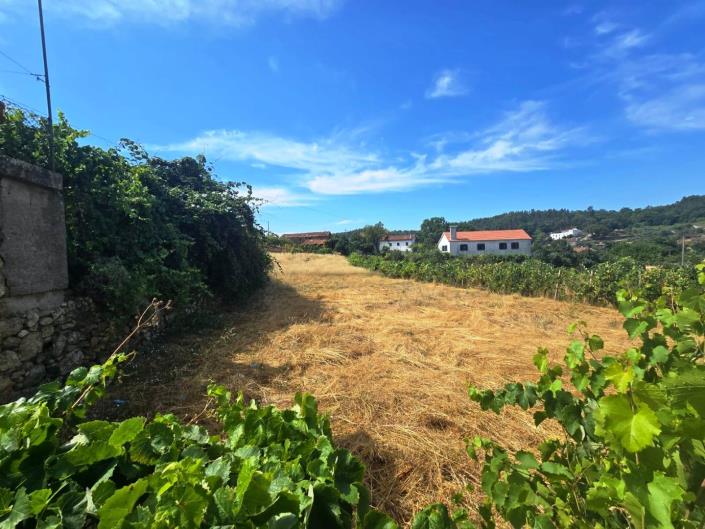 Image No.45-Country House for sale