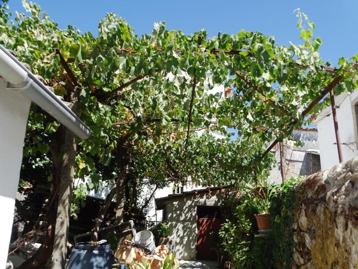 Image No.19-1 Bed House for sale