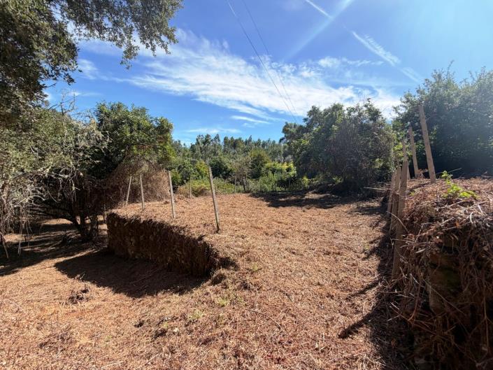 Image No.11-Land for sale