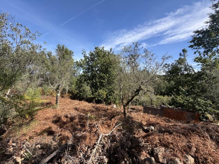 Image No.14-Land for sale