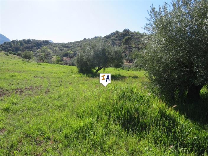 Image No.3-Land for sale