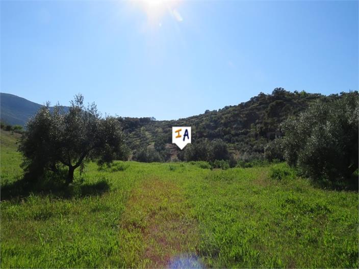 Image No.4-Land for sale