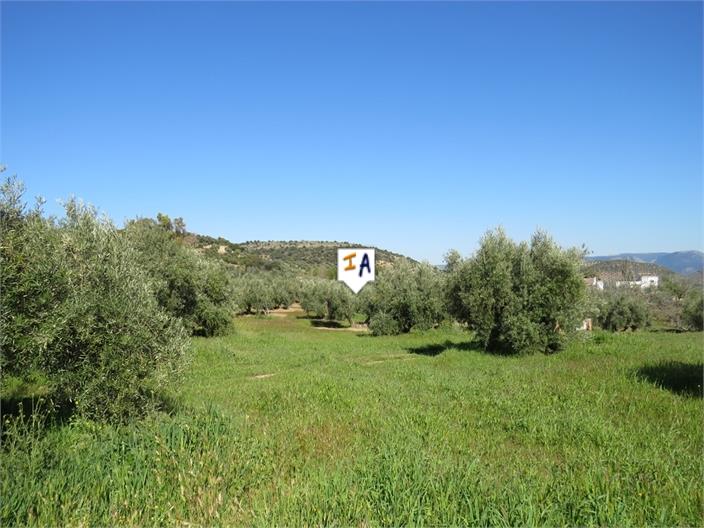 Image No.6-Land for sale
