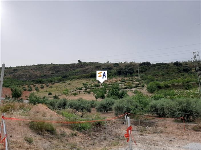 Image No.7-Land for sale