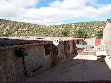 th49376