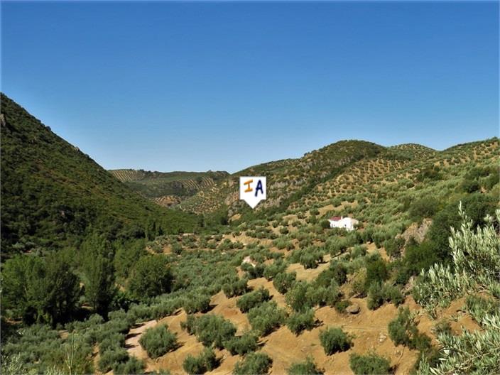 Image No.3-Ferme de 5 chambres à vendre à Fuensanta de Martos