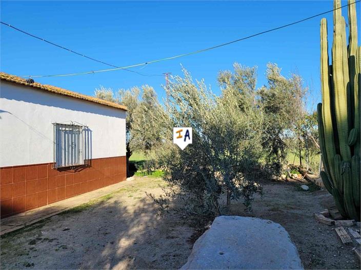 Image No.8-2 Bed Farmhouse for sale