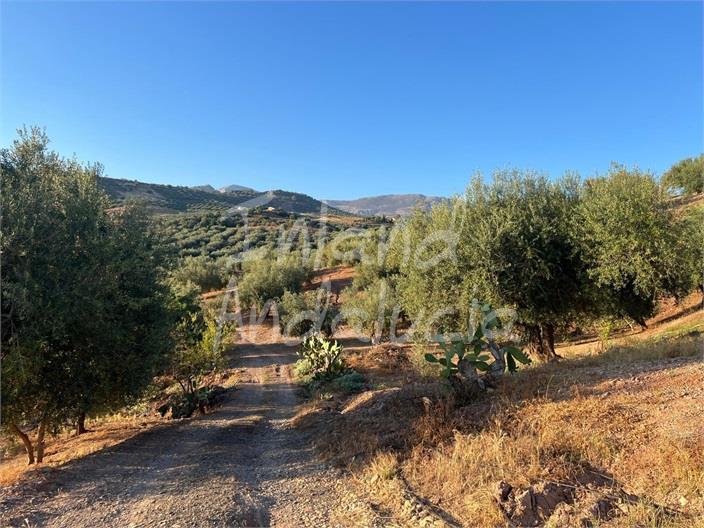 Image No.10-Land for sale