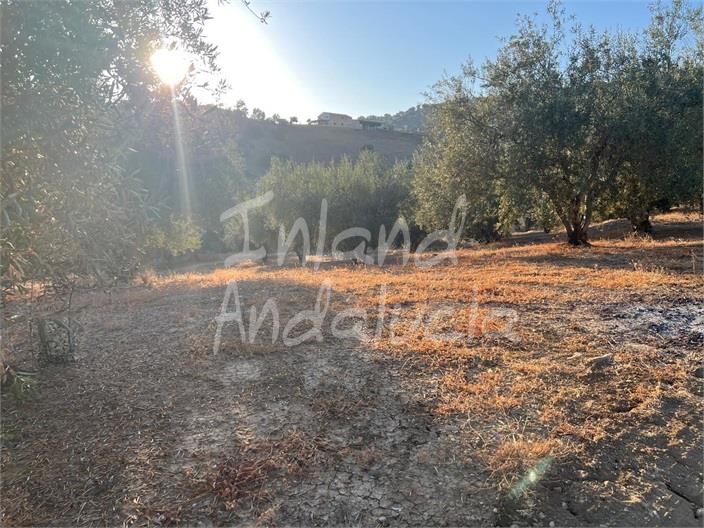Image No.5-Land for sale
