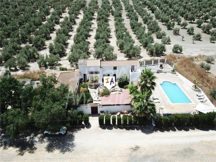 Image No.4-7 Bed Farmhouse for sale