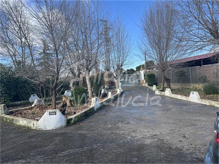 Image No.10-4 Bed House for sale