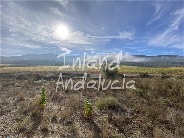 Image No.4-4 Bed Commercial for sale
