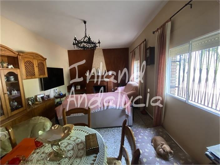 Image No.5-4 Bed Commercial for sale