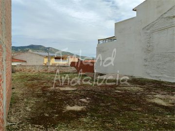 pl32310