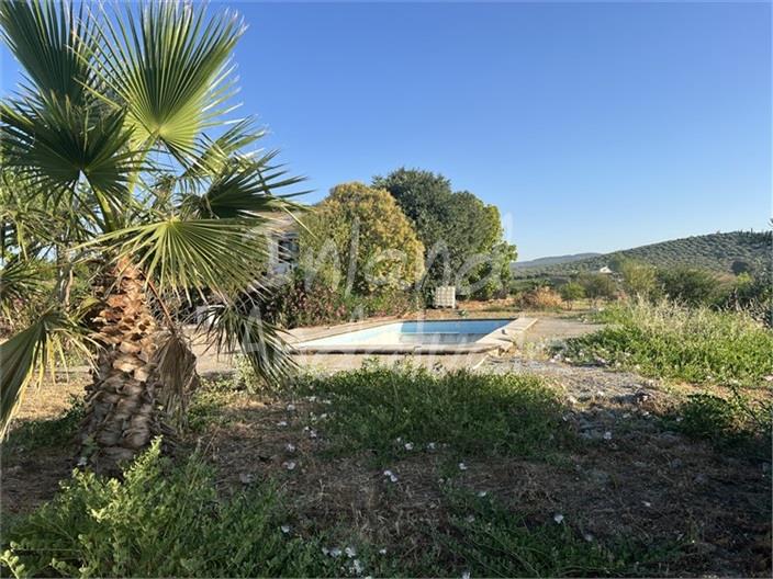 Image No.4-3 Bed Farmhouse for sale