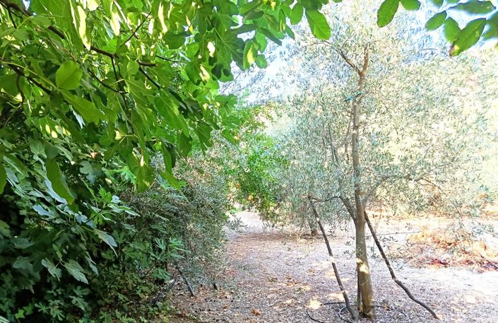 Image No.47-6 Bed Cortijo for sale