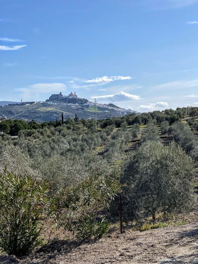 Image No.34-6 Bed Finca for sale