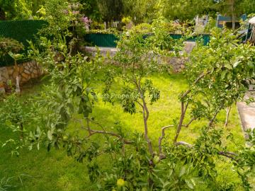 C_Gardens--1-
