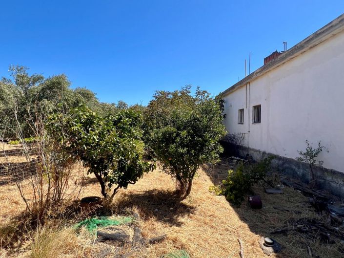 Image No.22-2 Bed House for sale