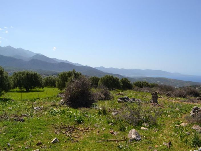 Image No.20-Terre à vendre à Agios Nikolaos