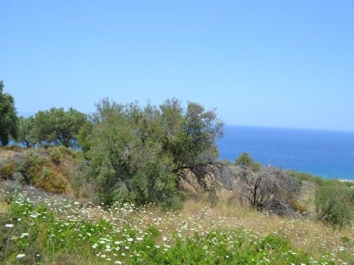 Image No.10-Land for sale