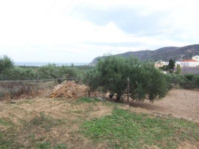 Image No.4-Plot for sale