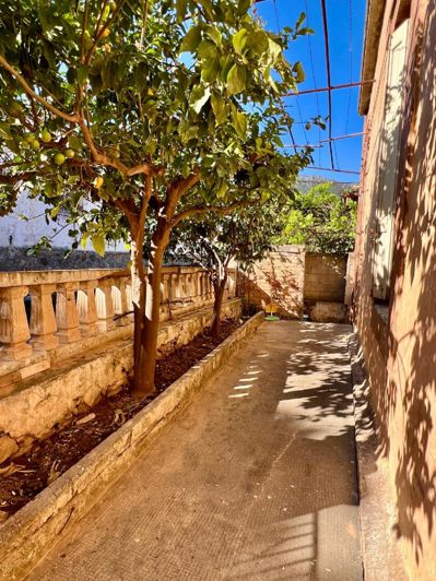 Image No.25-3 Bed House for sale