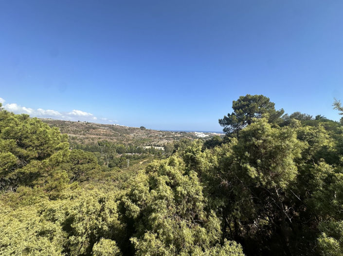 Image No.5-Propriété à vendre à Benahavis