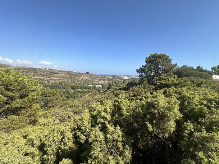 Image No.6-Propriété à vendre à Benahavis