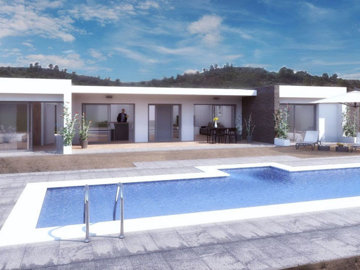 1 - Pinoso, House