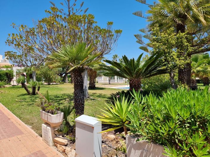 Image No.17-Appartement de 2 chambres à vendre à Torrevieja