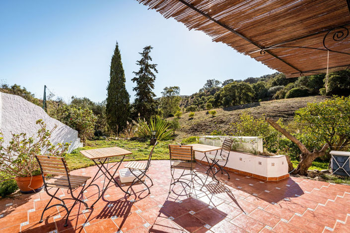 Image No.6-3 Bed Finca for sale