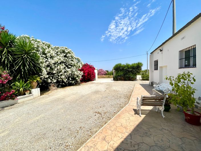 Image No.3-Villa de 4 chambres à vendre à Daya Nueva
