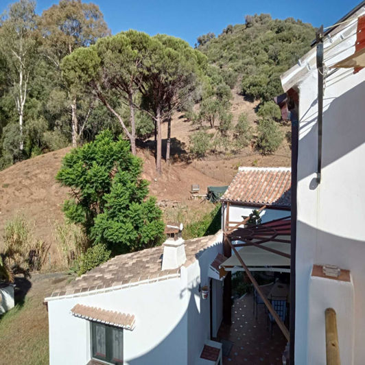 Image No.13-4 Bed Finca for sale