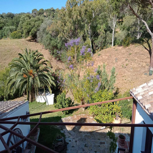 Image No.15-4 Bed Finca for sale