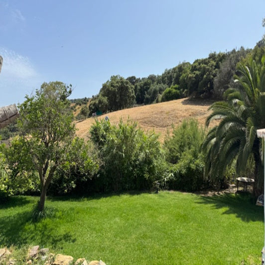 Image No.22-4 Bed Finca for sale