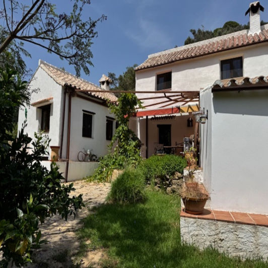 Image No.24-4 Bed Finca for sale