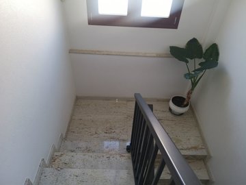mlsc7050753-image-6